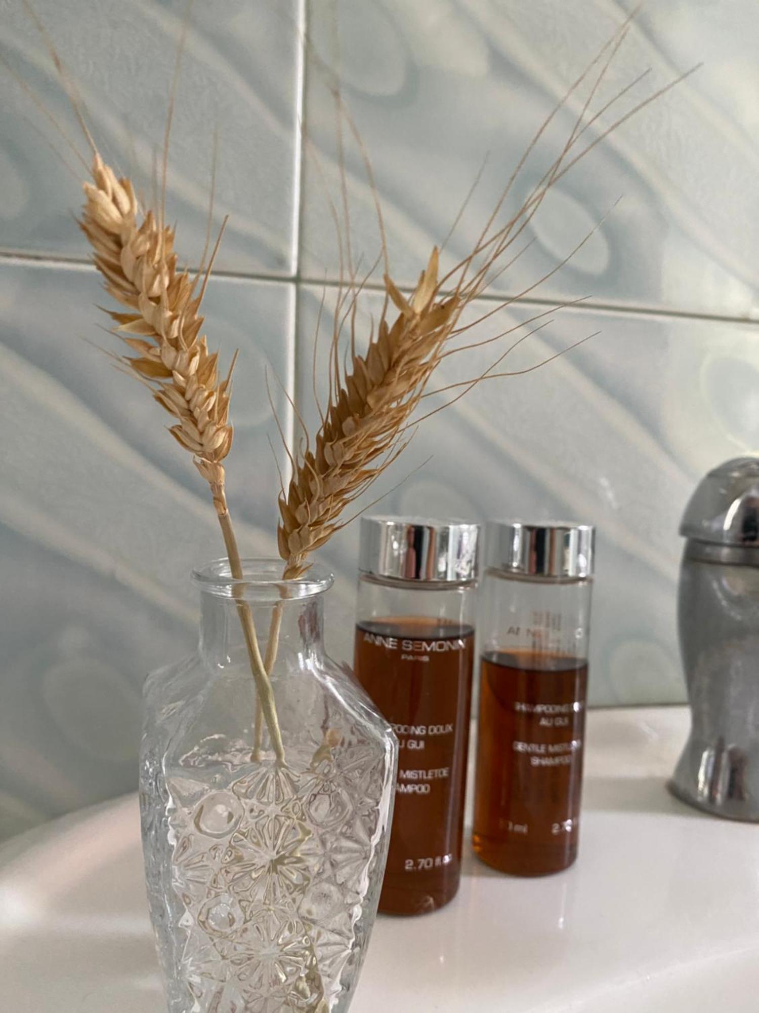 Karafili Apartament